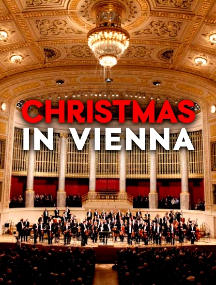 Christmas in Vienna