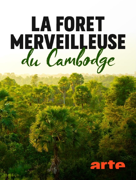 Arte - La forêt merveilleuse du Cambodge