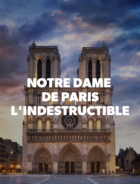 Notre Dame de Paris, l'indestructible