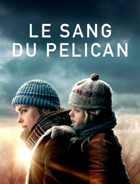 Le sang du pélican