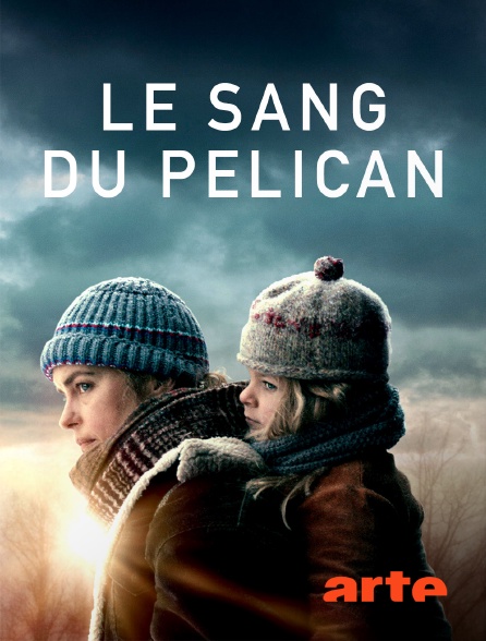 Arte - Le sang du pelican