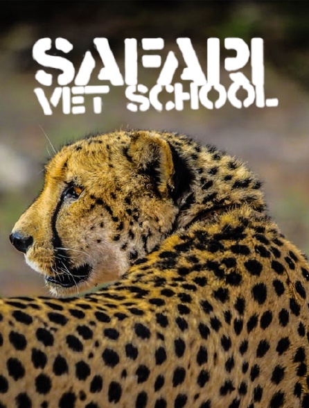 Safari Vet School