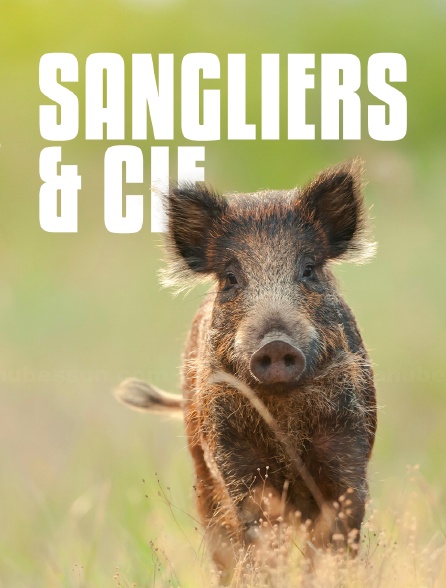 Sangliers & Cie