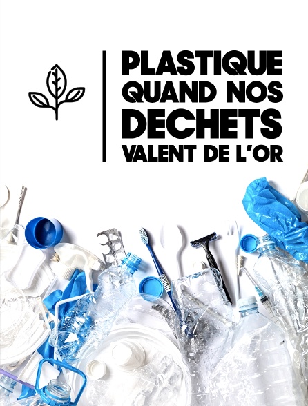 Plastiques, quand nos déchets valent de l'or