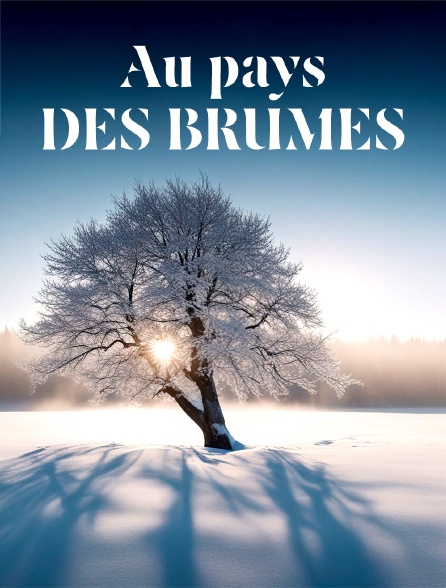 Au pays des brumes, un hiver balte