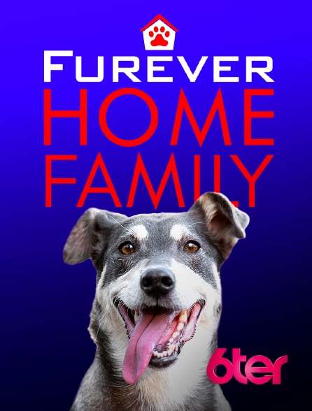 6ter - Furever Home Family