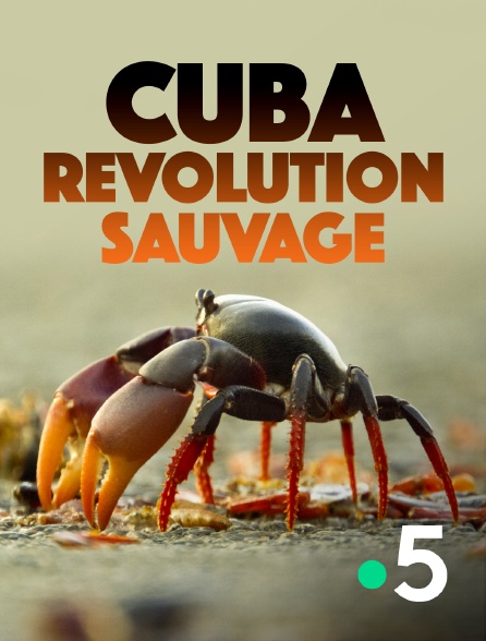France 5 - Cuba, révolution sauvage