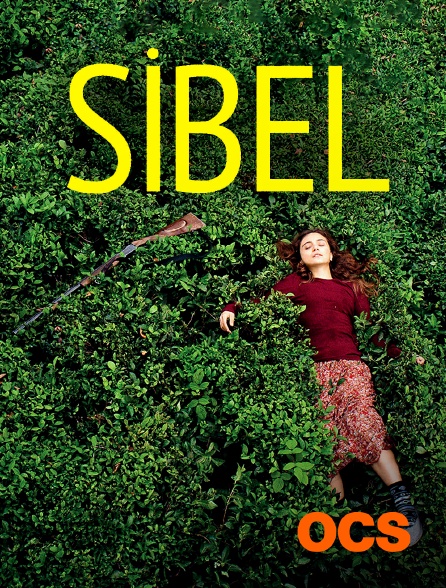 OCS - Sibel