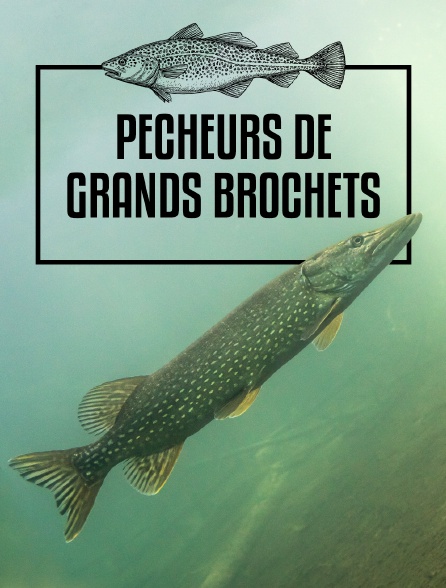 Pêcheurs de grands brochets