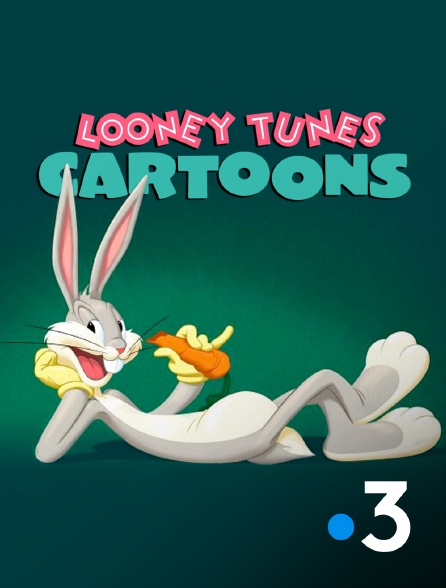 France 3 - Looney Tunes Cartoons