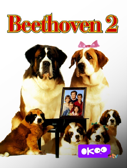 Okoo - Beethoven 2