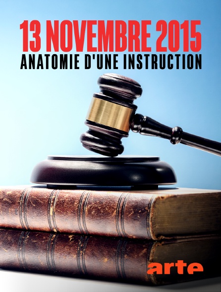 Arte - 13 novembre 2015 : anatomie d'une instruction