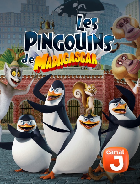 Canal J - Les Pingouins de Madagascar