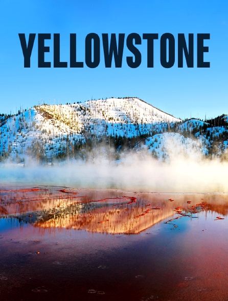 Yellowstone