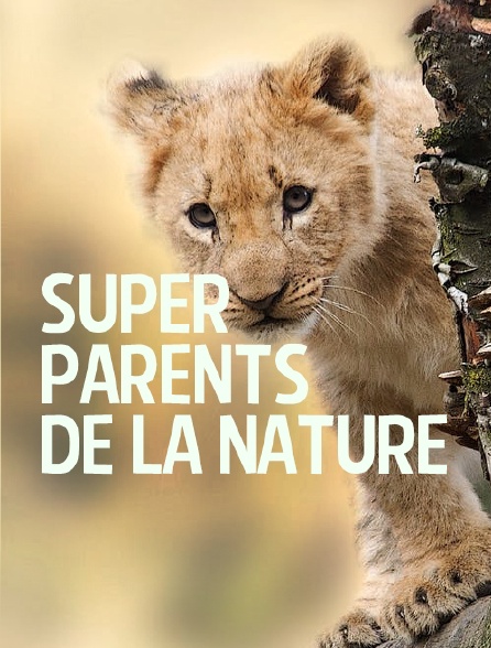 Super parents de la nature