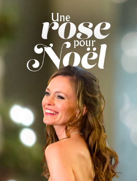 Une rose pour Noël