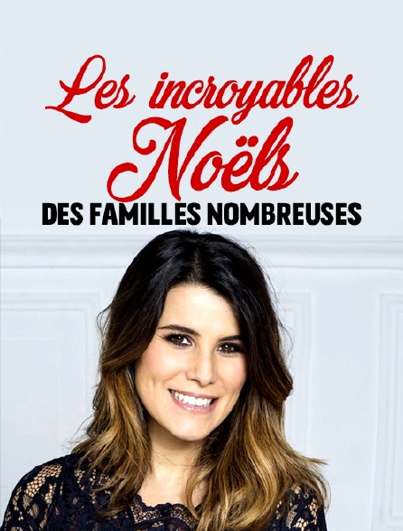 Les incroyables noëls des familles nombreuses