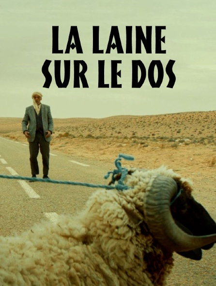 La laine sur le dos