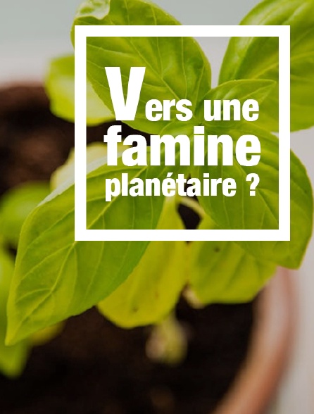Vers une famine planétaire ?