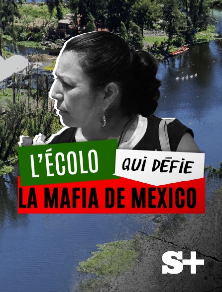 Society+ - L'écolo qui défie la mafia de Mexico