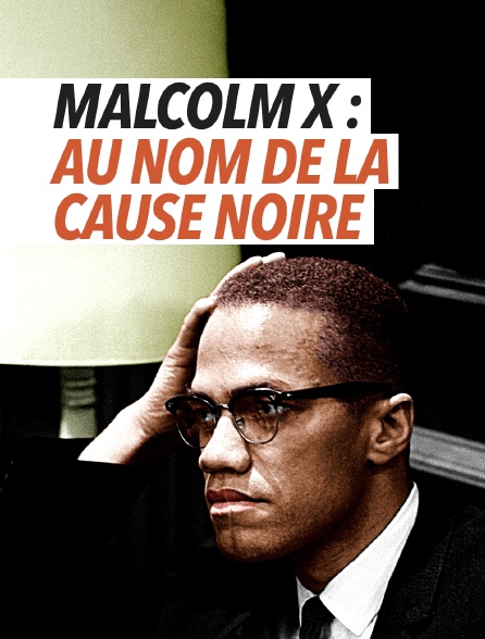 Malcolm X : au nom de la cause noire
