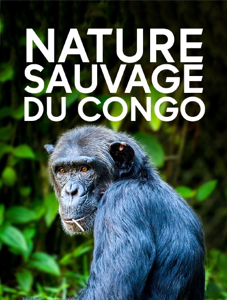Nature sauvage du Congo