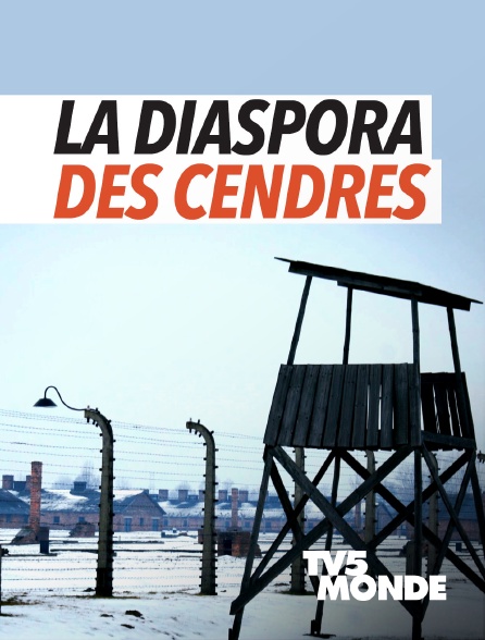 TV5MONDE - La diaspora des cendres