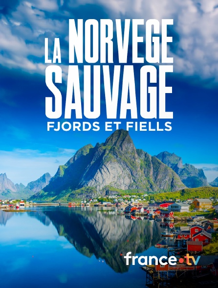 france.tv - La Norvège sauvage - Fjords et Fiells en replay