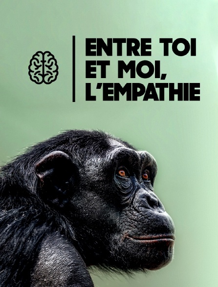 Entre toi et moi, l'empathie