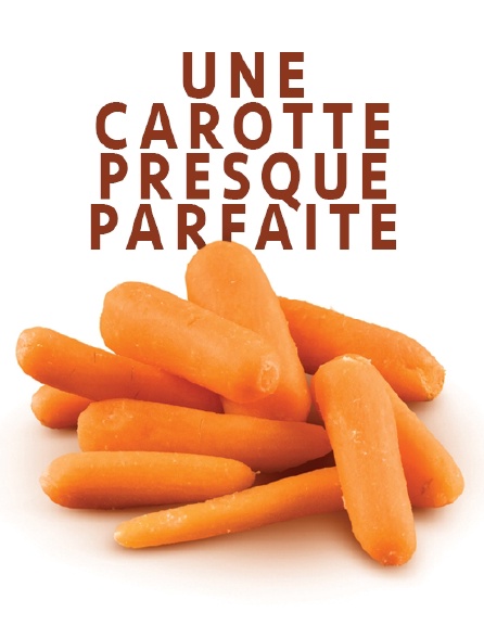 Une carotte presque parfaite