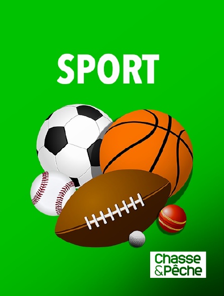 Chasse et pêche - Une année de chasse