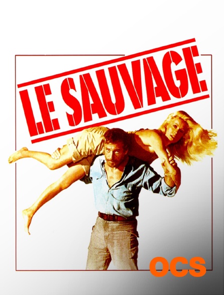 OCS - Le sauvage