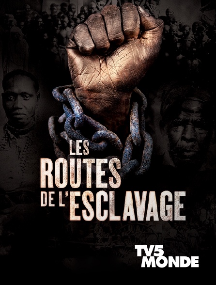 TV5MONDE - Les routes de l'esclavage