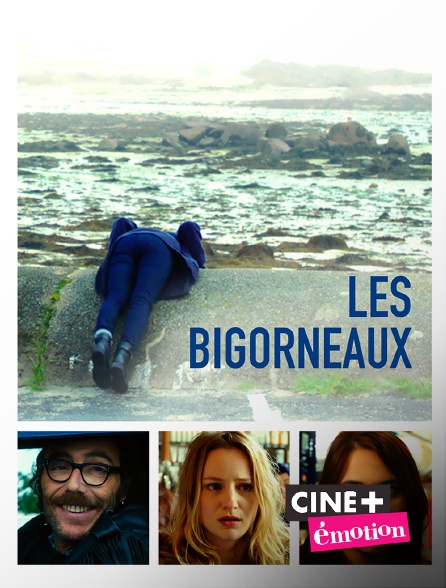 Ciné+ Emotion - Les Bigorneaux