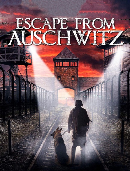 Les évadés d'Auschwitz