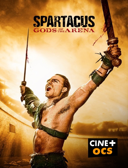CINÉ Cinéma - Spartacus : les dieux de l'arène en replay