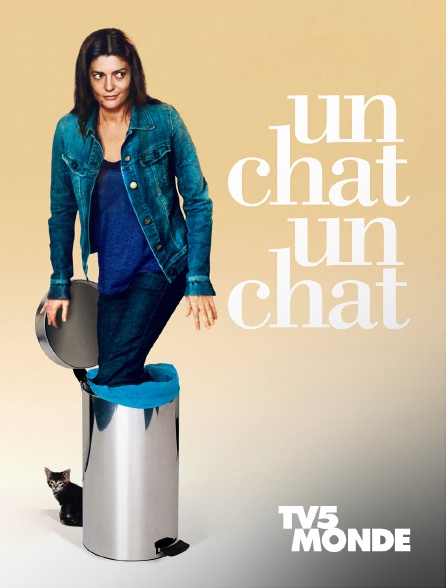 TV5MONDE - Un chat un chat