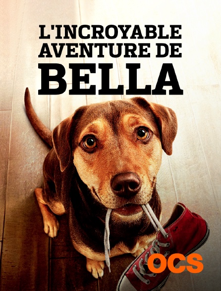 OCS - L'incroyable aventure de Bella