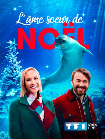 TF1 Séries Films - L'âme soeur de Noël
