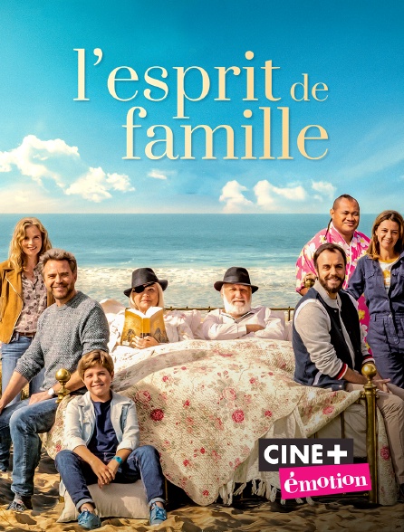 Ciné+ Emotion - L'esprit de famille