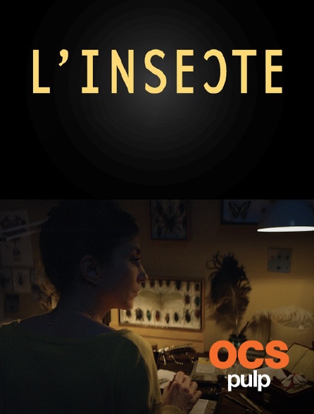 OCS Pulp - L'insecte