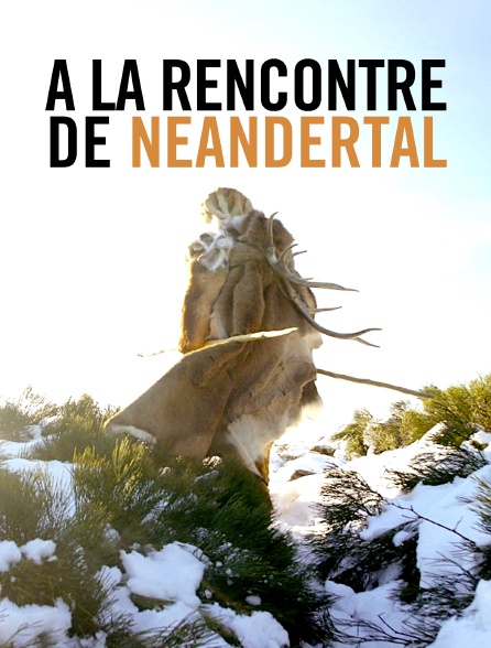 A la rencontre de Neandertal