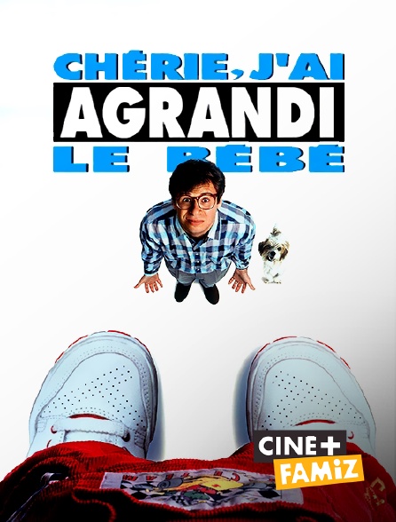 Ciné+ Famiz - Chérie, j'ai agrandi le bébé