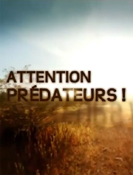 Attention prédateurs !