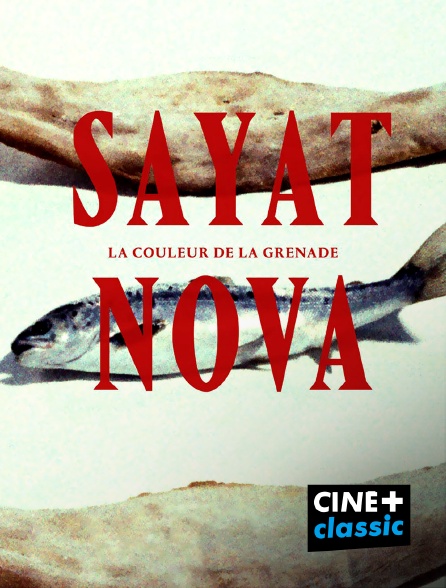 CINE+ Classic - Sayat Nova, couleur de la grenade