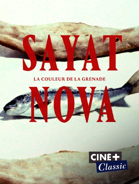 Ciné+ Classic - Sayat Nova, couleur de la grenade