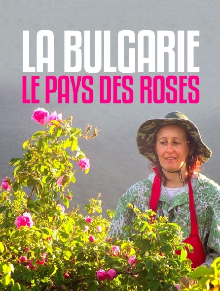 La Bulgarie, le pays des roses