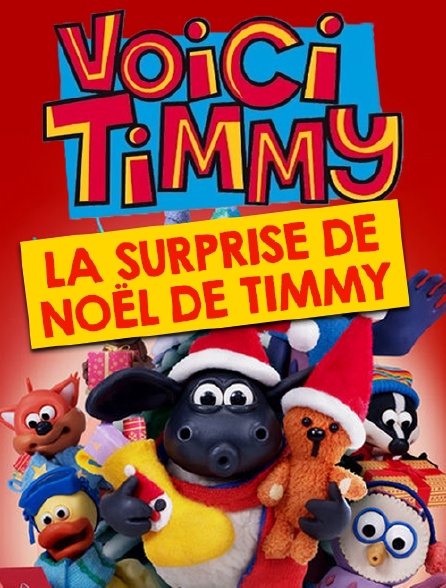 Voici Timmy : La surprise de Noël de Timmy