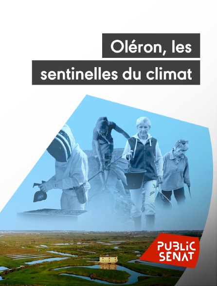 Public Sénat - Oléron, les sentinelles du climat