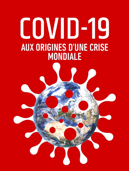 Covid-19 : aux origines d'une crise mondiale